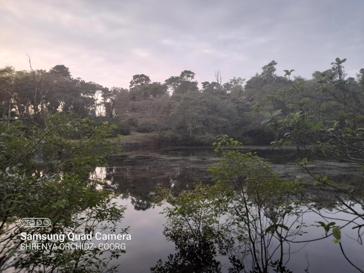 Shrenya Orchidz-Coorg Nature Stay Madikeri Buitenkant foto