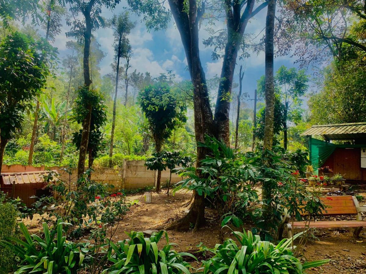 Shrenya Orchidz-Coorg Nature Stay Madikeri Buitenkant foto