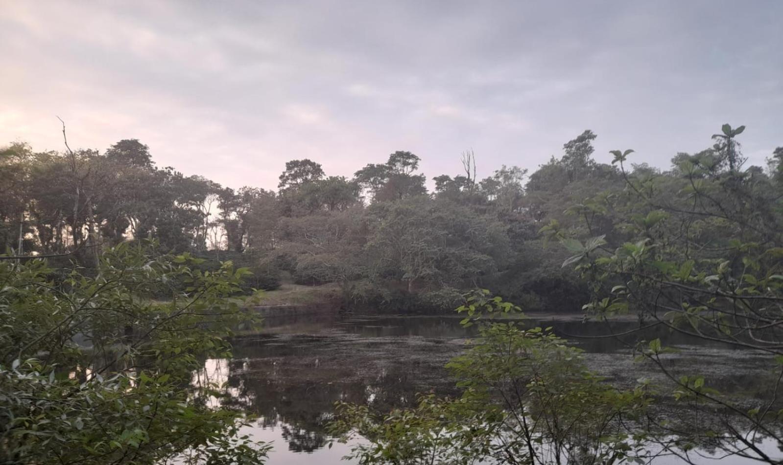 Shrenya Orchidz-Coorg Nature Stay Madikeri Buitenkant foto
