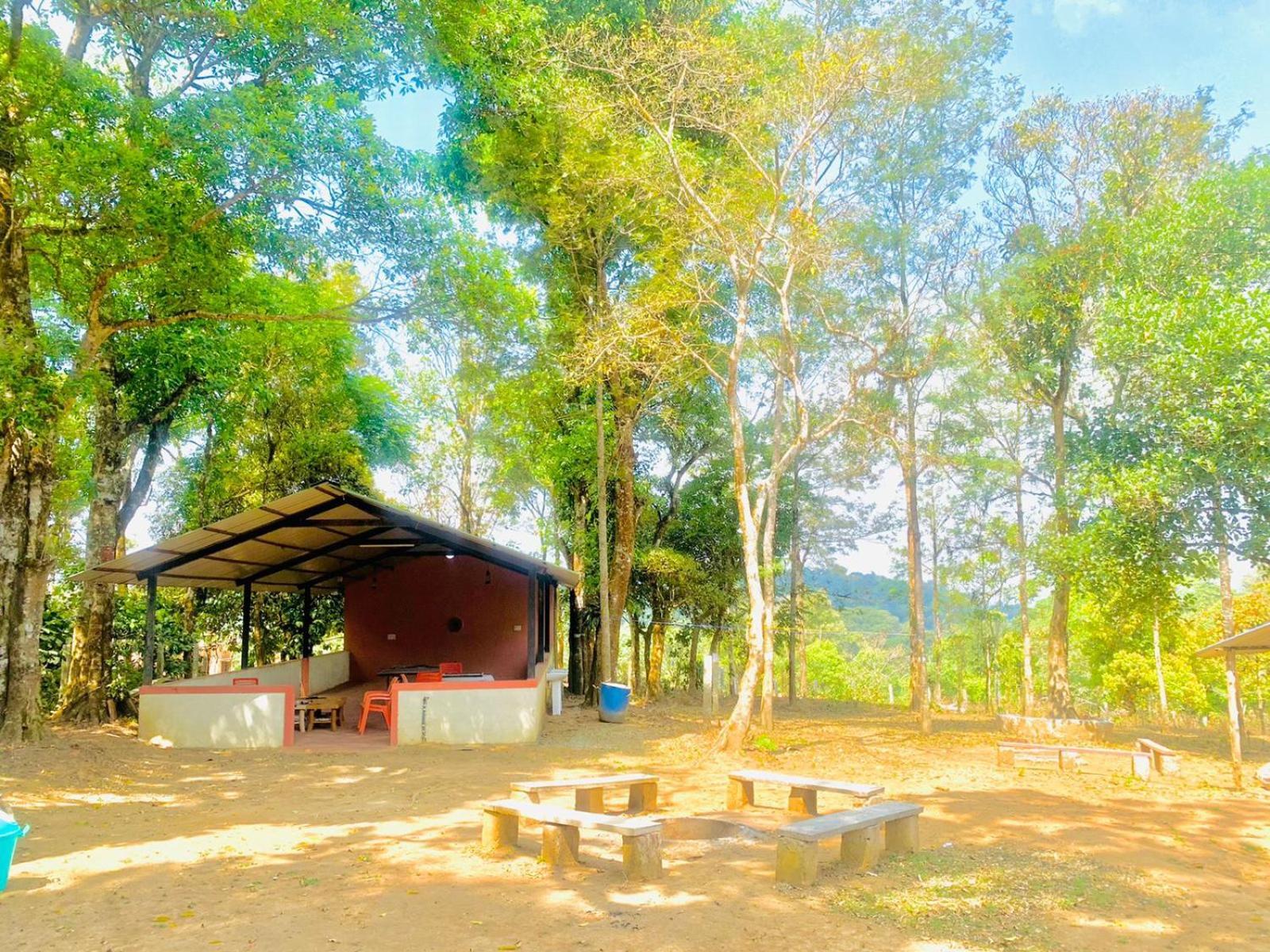Shrenya Orchidz-Coorg Nature Stay Madikeri Buitenkant foto
